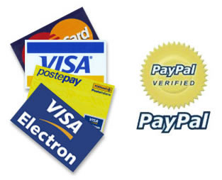 paypal credit cards verified 313x254